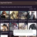 dogsanimaltubeporn.com