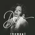 donnasummer.com donnasummer.com