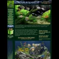 dreamaquarium.com dreamaquarium.com