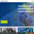 dreamcorals.eu