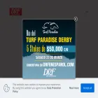 drfenespanol.com drfenespanol.com