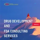 drugdevelopmentconsultants.com drugdevelopmentconsultants.com