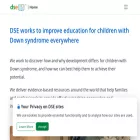 dseinternational.org