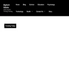 dseodisha.com dseodisha.com