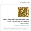 dubaifxbrokers.com dubaifxbrokers.com