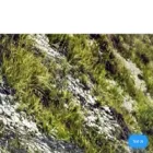 ducatirichfield.com