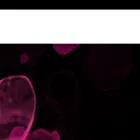 duftheld.com duftheld.com