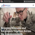 dvsv3.com