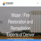 dynamicdenver.com dynamicdenver.com