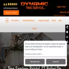 dynamictreect.com