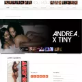 dynastyseries.com dynastyseries.com