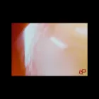 earpollution.com