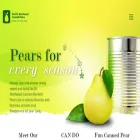 eatcannedpears.com eatcannedpears.com