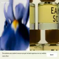 eauso.com eauso.com