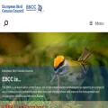 ebcc.info ebcc.info