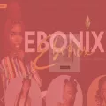 ebonix.com ebonix.com