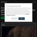ebrains.eu ebrains.eu