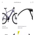 econicone.us