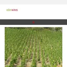 edenwines.co.uk edenwines.co.uk