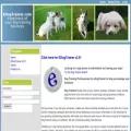 edogtrainer.com