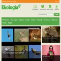 ekologia.pl