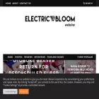 electricbloomwebzine.com electricbloomwebzine.com