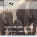 elephantconservation.org elephantconservation.org