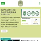 eliteonlinedispensary.com