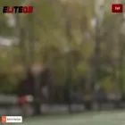 eliteqb.coach eliteqb.coach