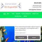 elysfish.com elysfish.com