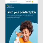 embarkpetinsuranceservices.com embarkpetinsuranceservices.com