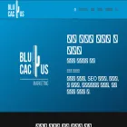 en.blucactus.kr en.blucactus.kr