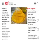 english.rti.org.tw english.rti.org.tw