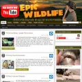 epicadamwildlife.com