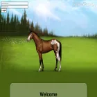 equinepassion-browsergame.com equinepassion-browsergame.com