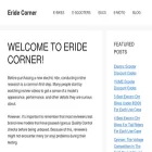 eridecorner.com eridecorner.com