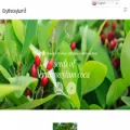 erythroxylum.com