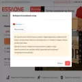essaone.com