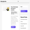 ethiojob.info