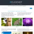 eugenef.com