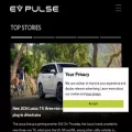 evpulse.com