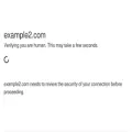 example2.com example2.com