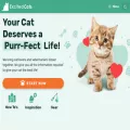 excitedcats.com
