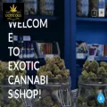 exoticcartsshop.com