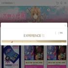 experience11.com