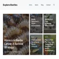 explorebeetles.com