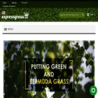 expressgrass.us expressgrass.us