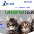 ezcatpads.com ezcatpads.com