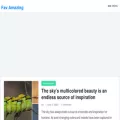 favamazing.com favamazing.com