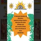 fbrn.org.br fbrn.org.br